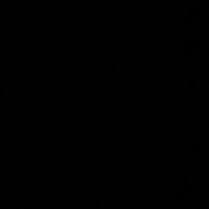 Meet your Posher, Indra